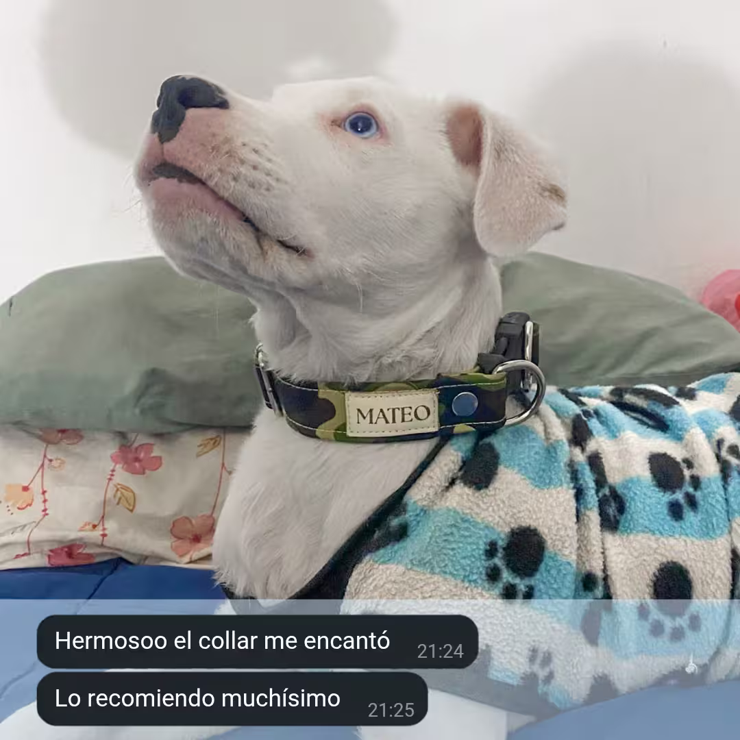Collar destacado 1