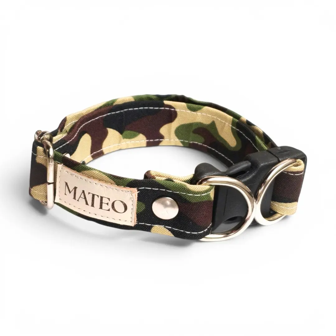 Collar destacado 5